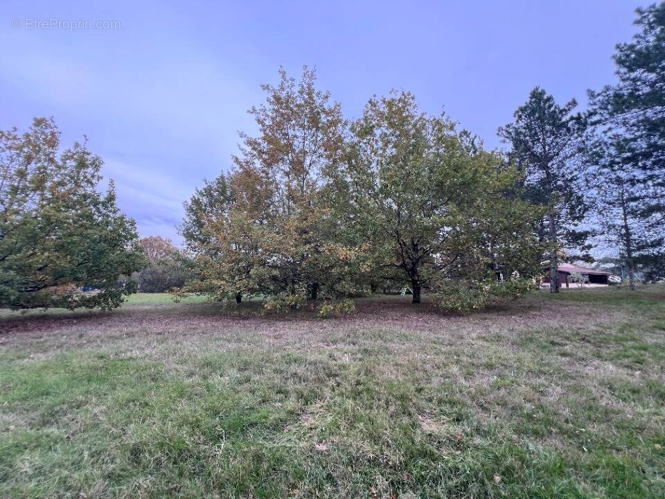 Terrain à PECHBONNIEU