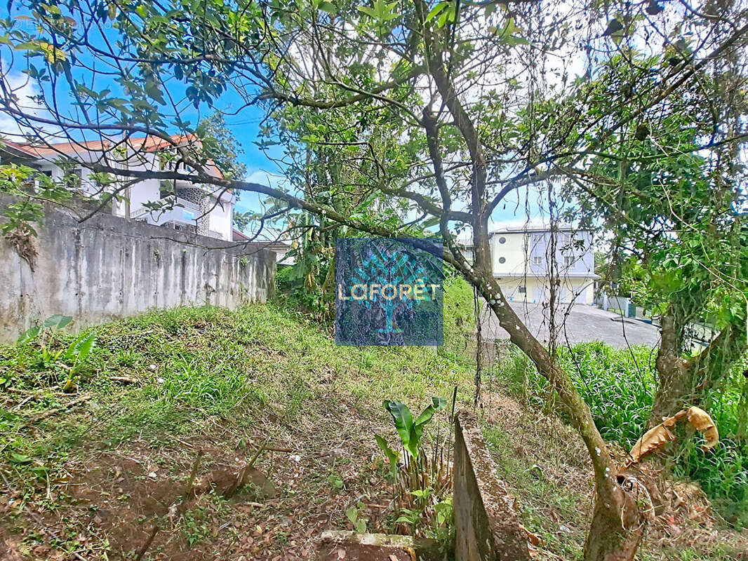 Maison à SAINT-JOSEPH