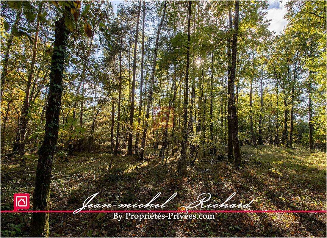 Terrain à GY-EN-SOLOGNE