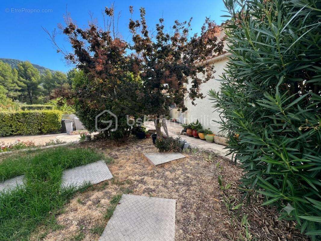 OLLIOULES – FAVEYROLLES - Maison familiale T9 de 160 m² avec annexes, piscine et terrain de 2 000 m² - photo 6