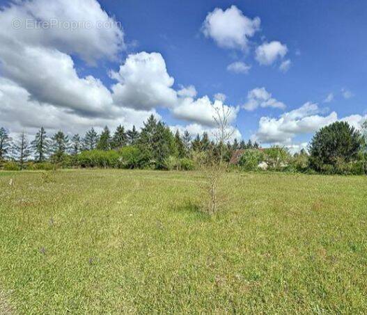 Terrain à SAINT-VIATRE