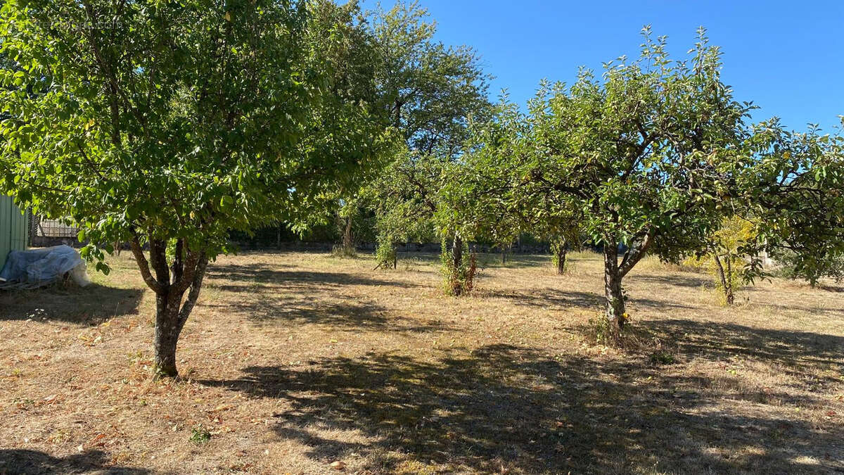 Entre Bléré et Montrichard, à Saint Georges sur Cher, proche centre. - photo 10