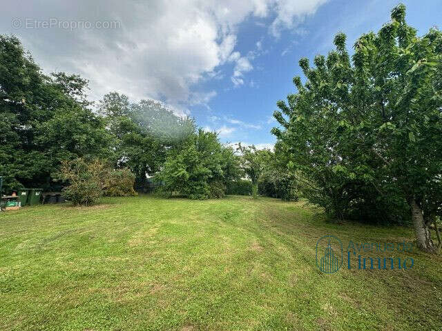 Terrain à SAINT-SATURNIN-SUR-LOIRE