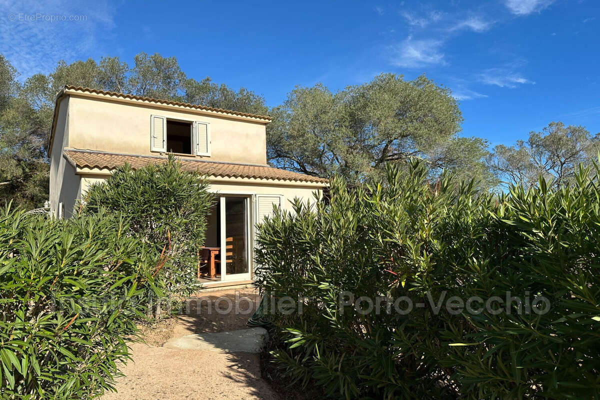 Maison à PORTO-VECCHIO