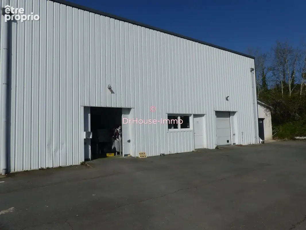 Commerce 360 m² à vendre à Castillon-La-Bataille (33350) - photo 12