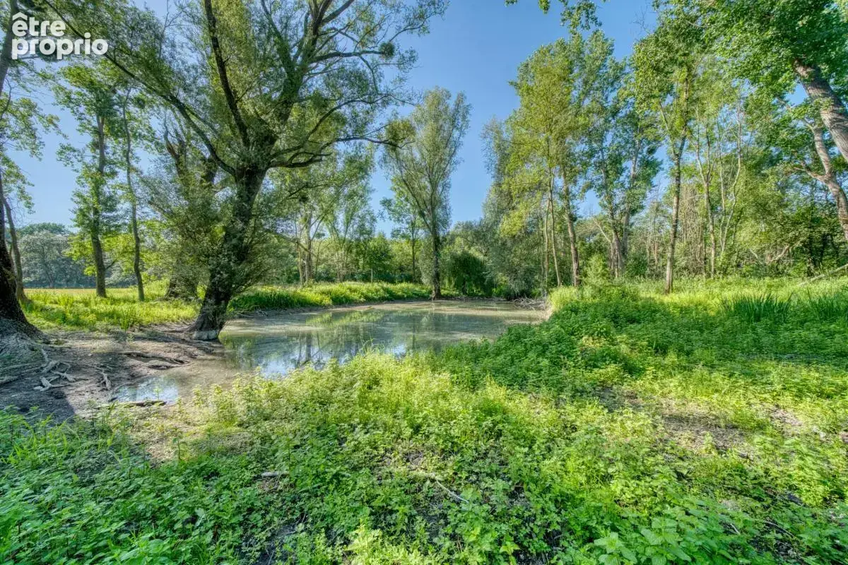 Maison de 10 pièces de 270 m² à Saint-Laurent-de-Cognac - photo 26