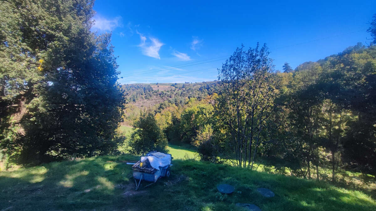 Maison en pierres rénovée avec terrain - photo 17