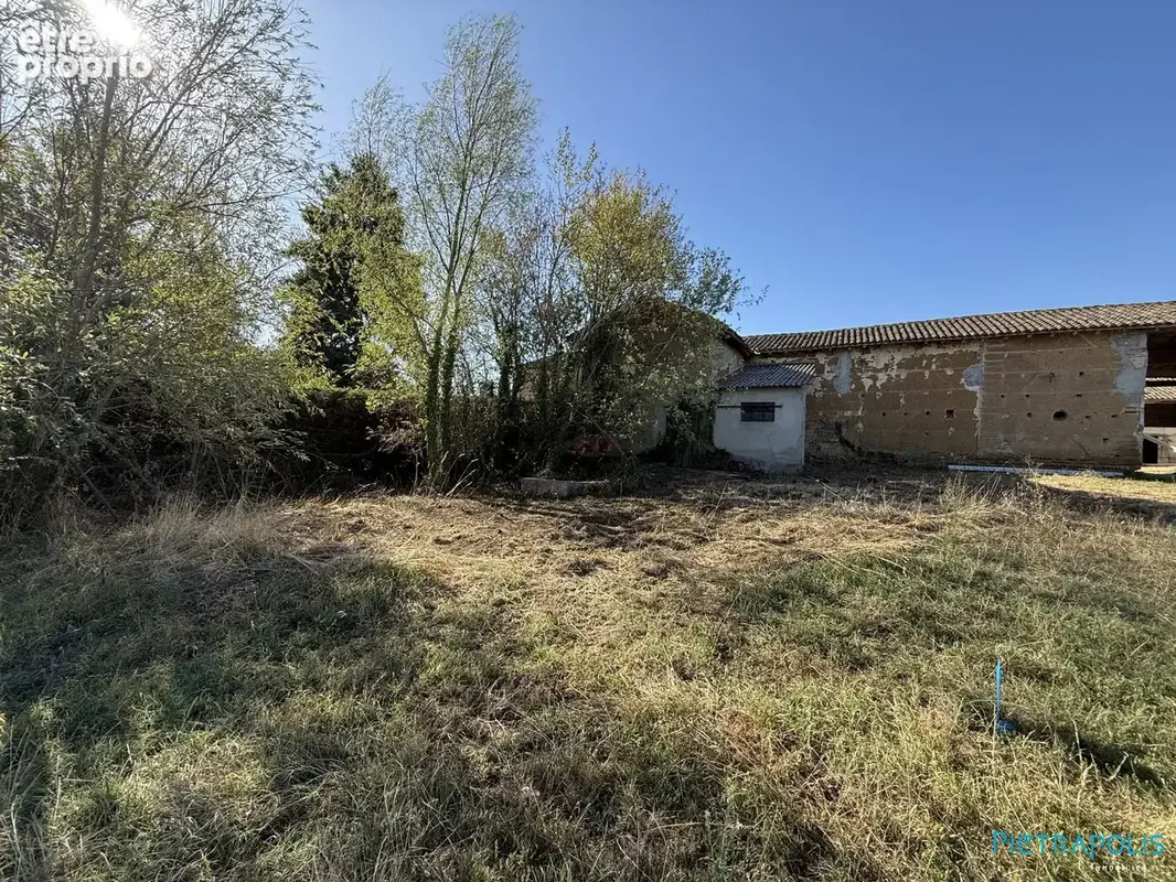 Maison 5 pièces 272 m² à vendre à Francheleins (01090) - photo 5