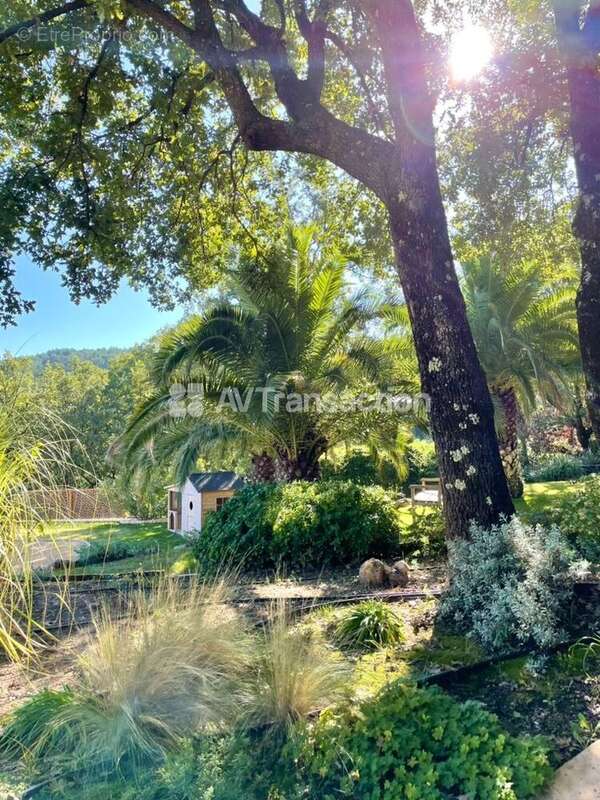 Maison 220 m² à Draguignan  - photo 13