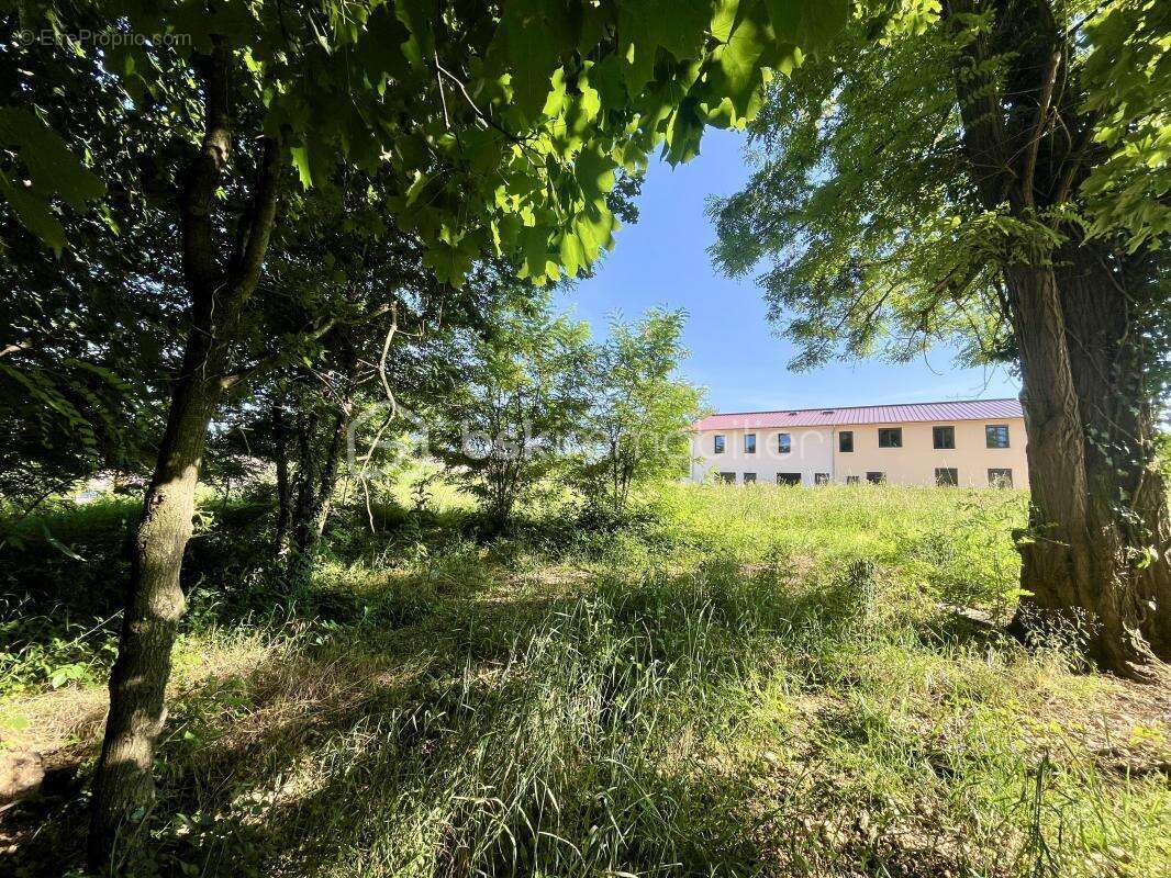 Maison à SAINT-DIDIER-DE-FORMANS