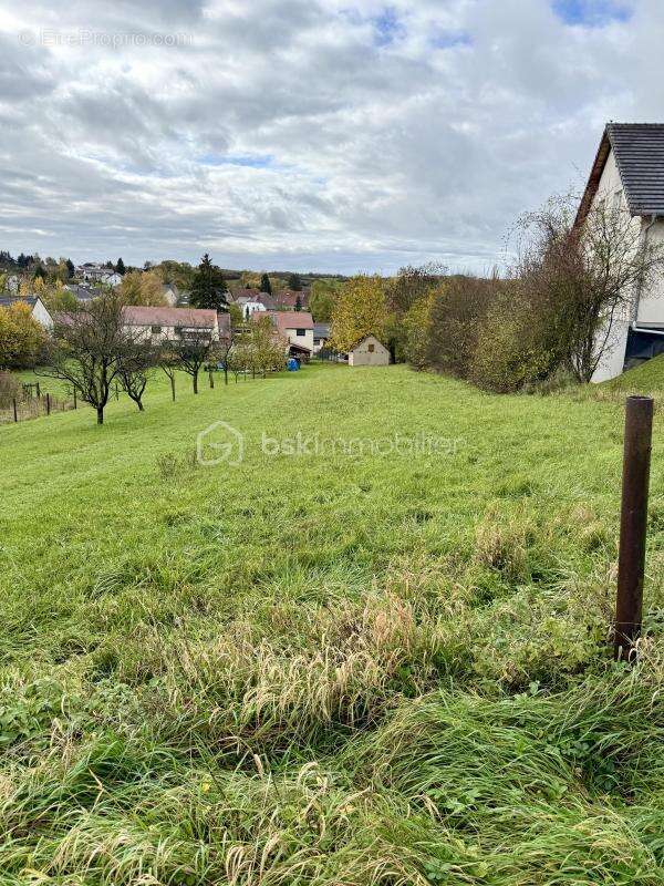 Terrain à DIEBLING