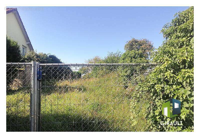 Terrain à TRAUBACH-LE-HAUT