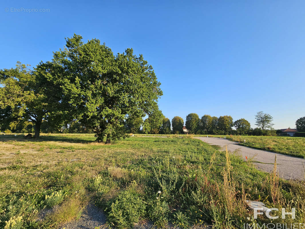 Terrain à BELLERIVE-SUR-ALLIER