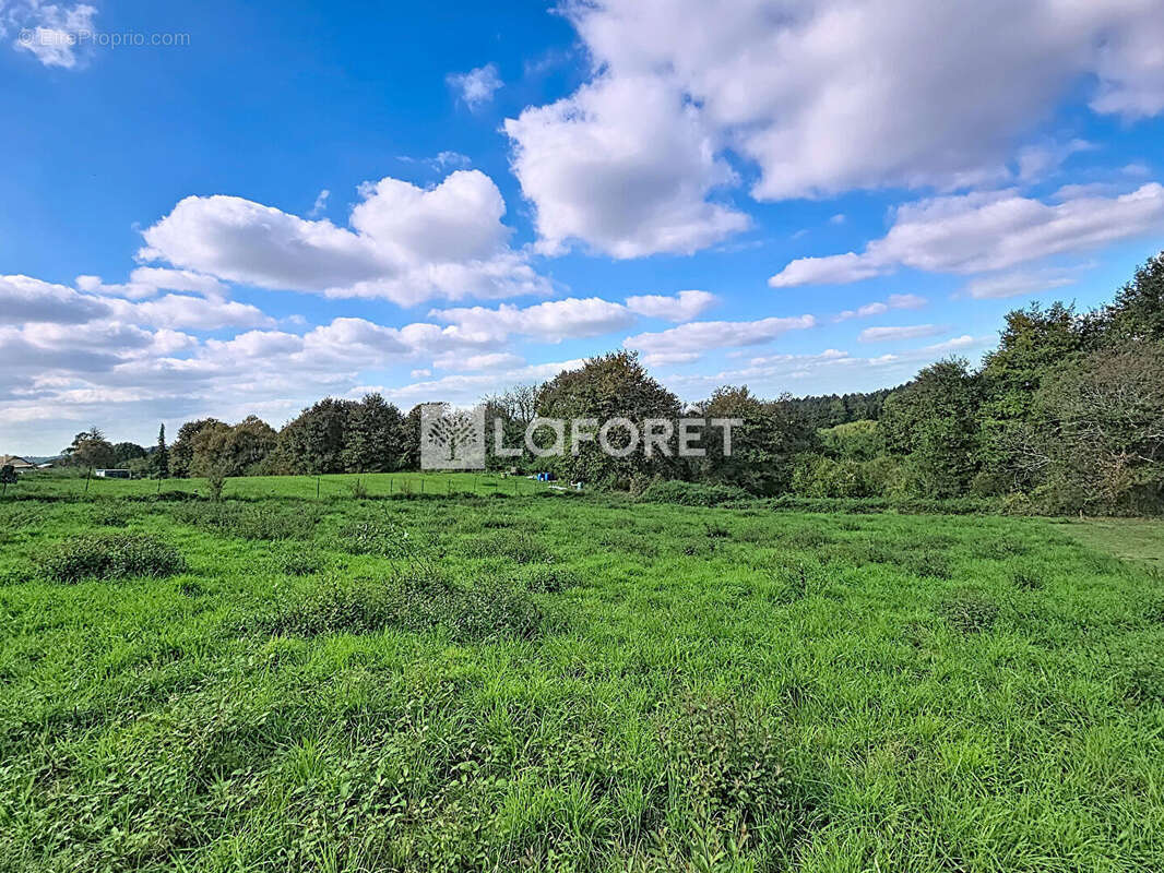 Terrain à ORTHEZ