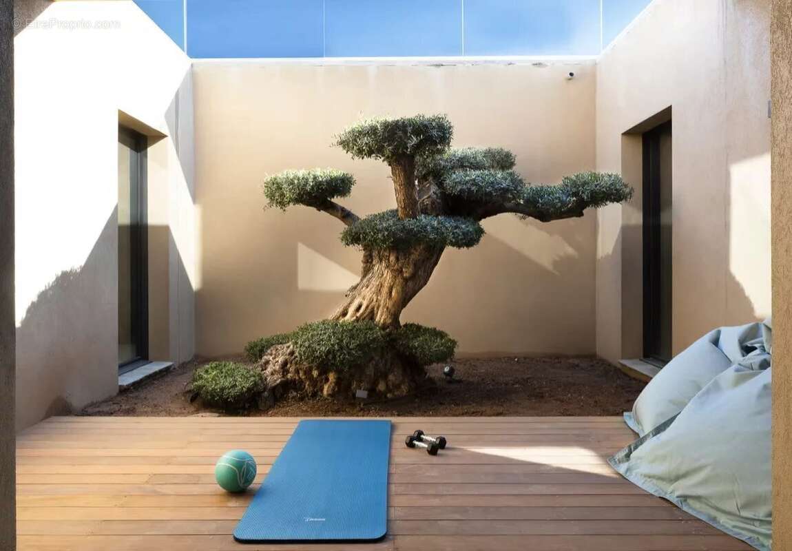 Maison à PORTO-VECCHIO