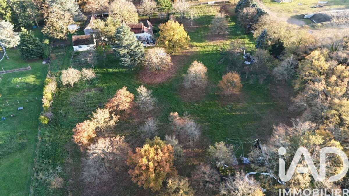 Photo 4 - Maison à BRAY-EN-VAL