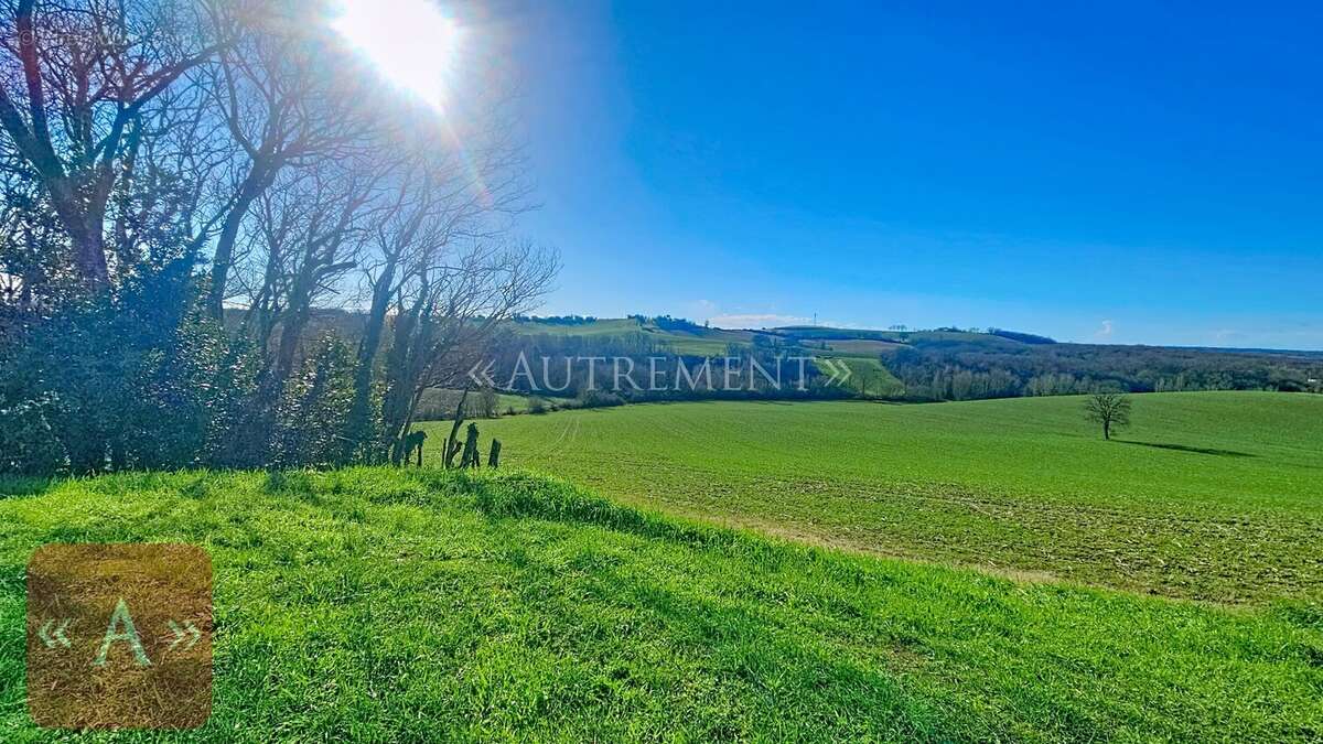 Maison à VILLEMUR-SUR-TARN