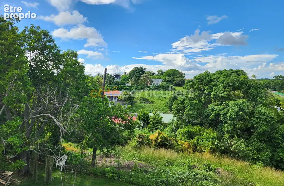 A VENDRE Terrain Le Gosier 1094 m2 - photo 2