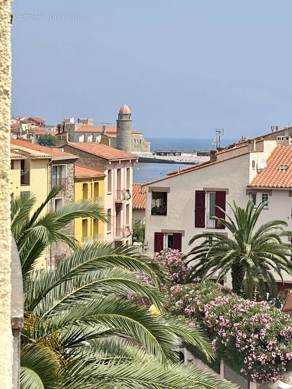 Appartement à COLLIOURE