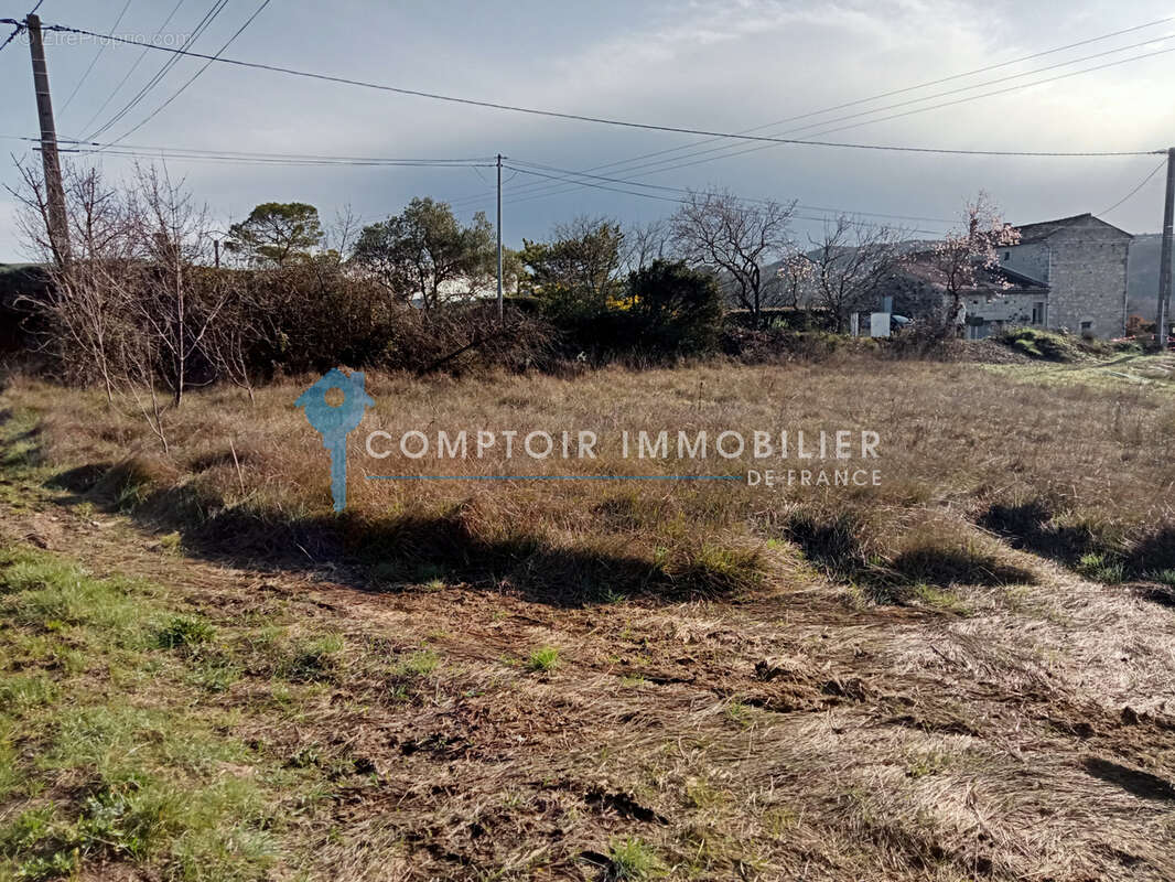Terrain plat - photo 3