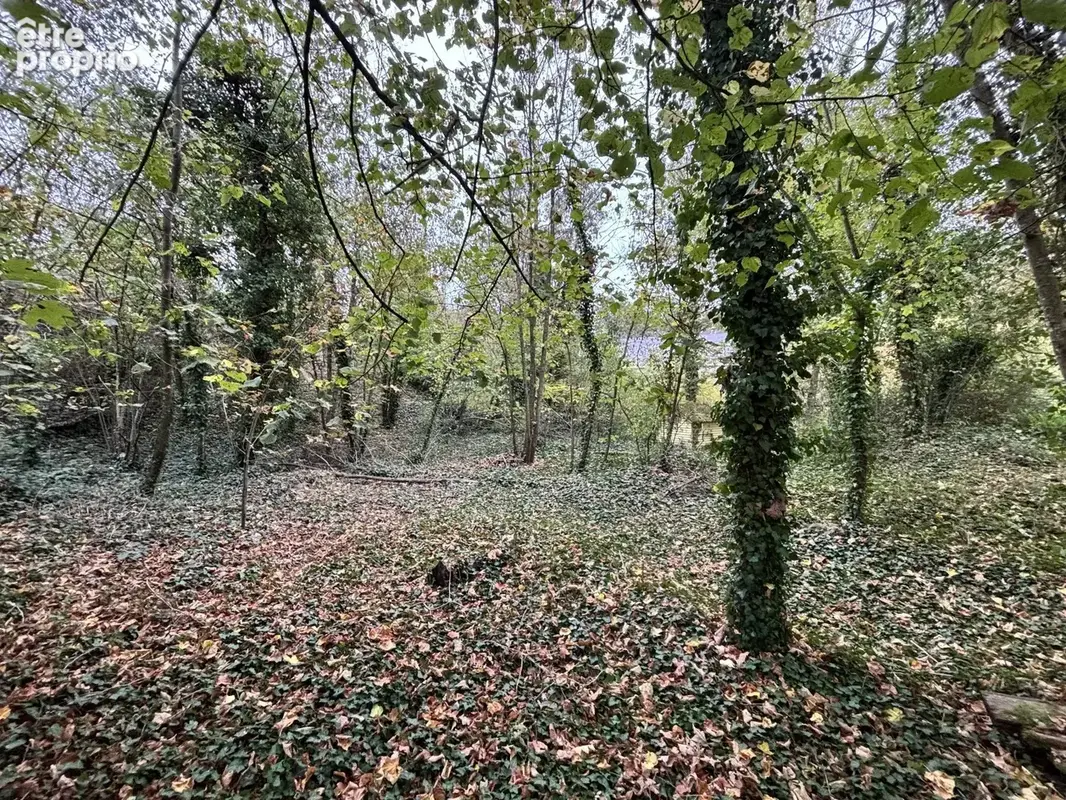 Vente Terrain Presles-et-thierny(02860) 55 000ï¿œ - photo 8
