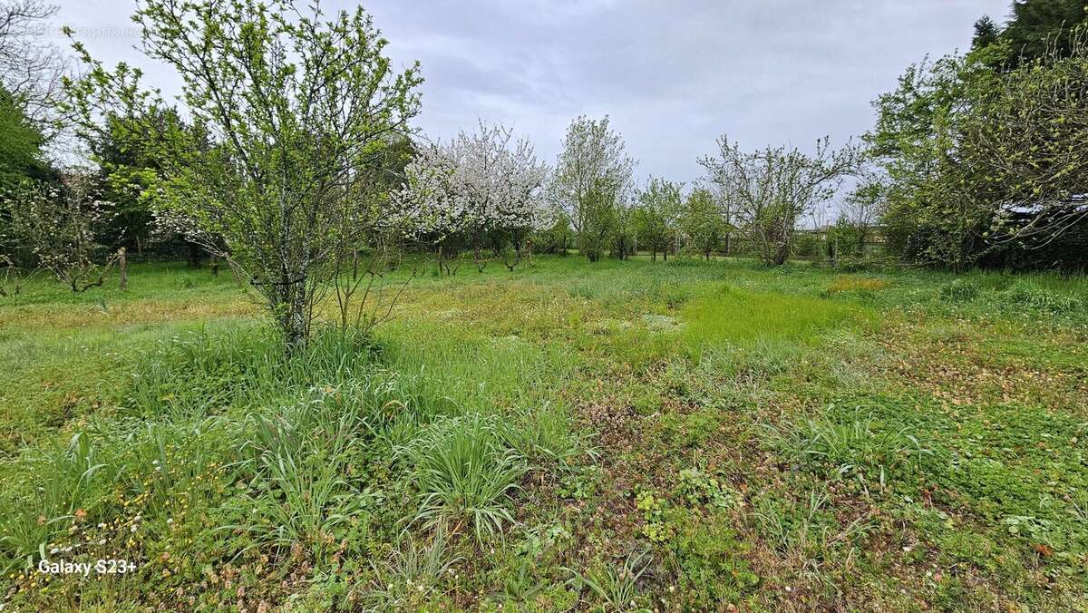 Terrain à SAINT-REMY