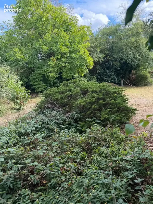 Terrain à OLLAINVILLE