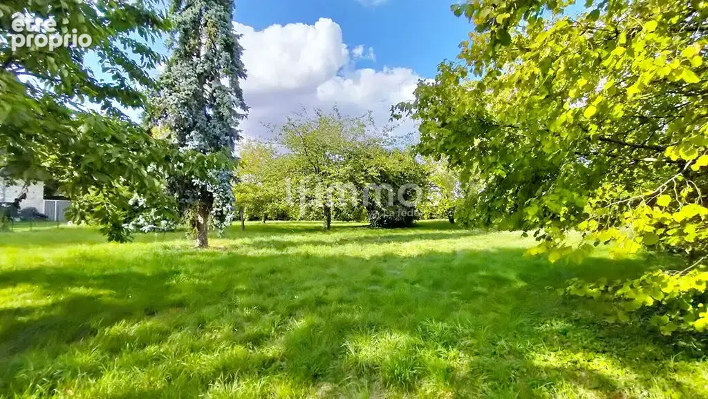 vaste terrain à bâtir à Courcelles Le Roi - photo 4