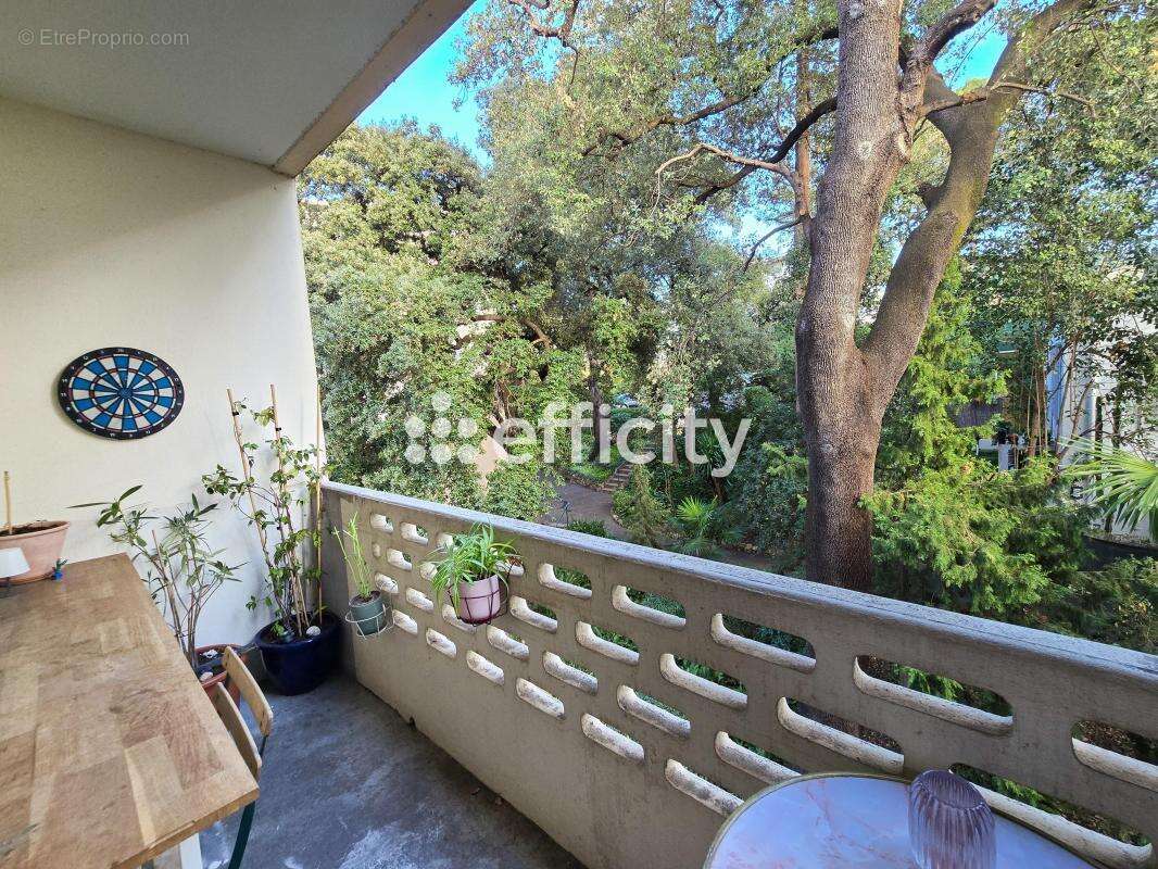 Appartement à LE CANNET