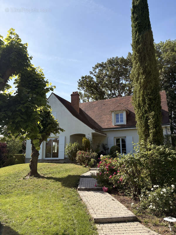Maison à SAINT-PRYVE-SAINT-MESMIN