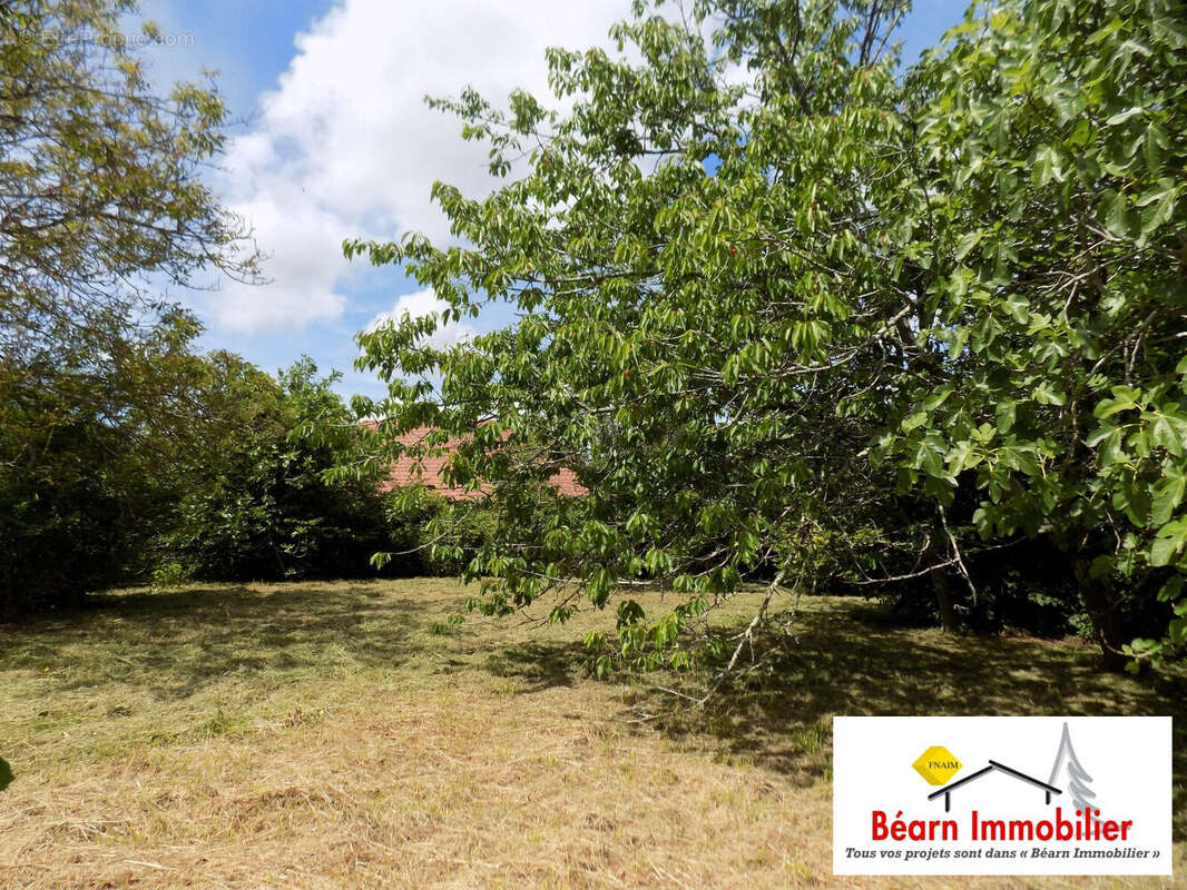 Terrain à SALIES-DE-BEARN