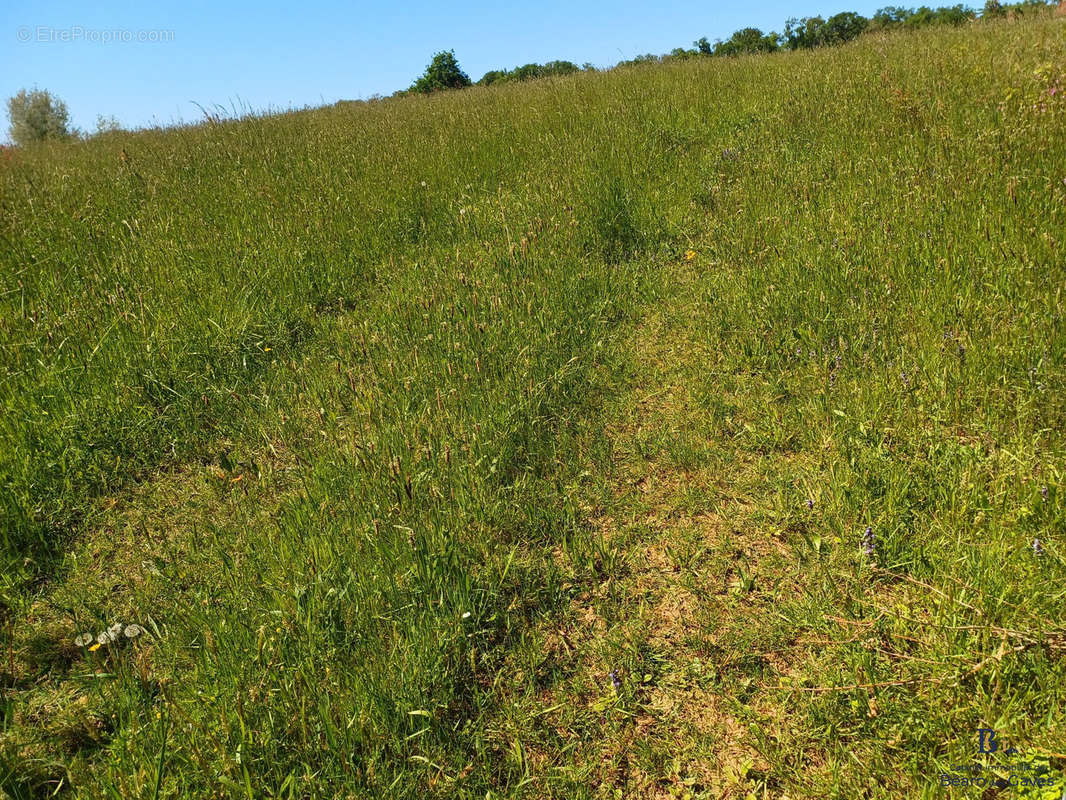 Terrain à SALIES-DE-BEARN