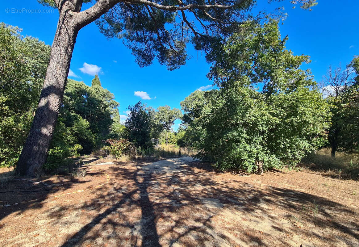 Maison à BEAUVOISIN