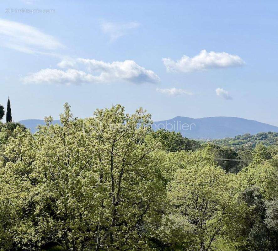Grimaud, Villa d'Architecte en pleine nature, 200m2, 5 chambres - photo 5