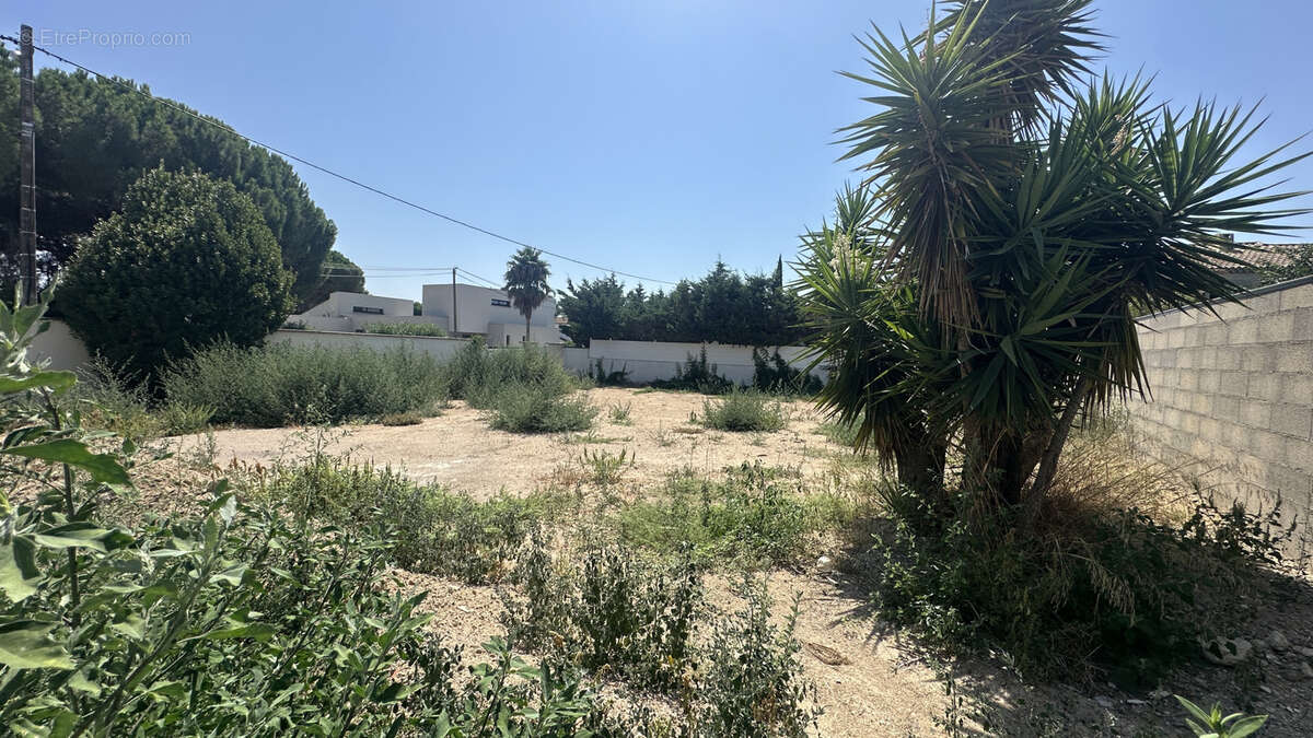 Villa T4 neuve de 111m2 hab sur 520m2 de terrain, Le Grau d’Agde, - photo 2