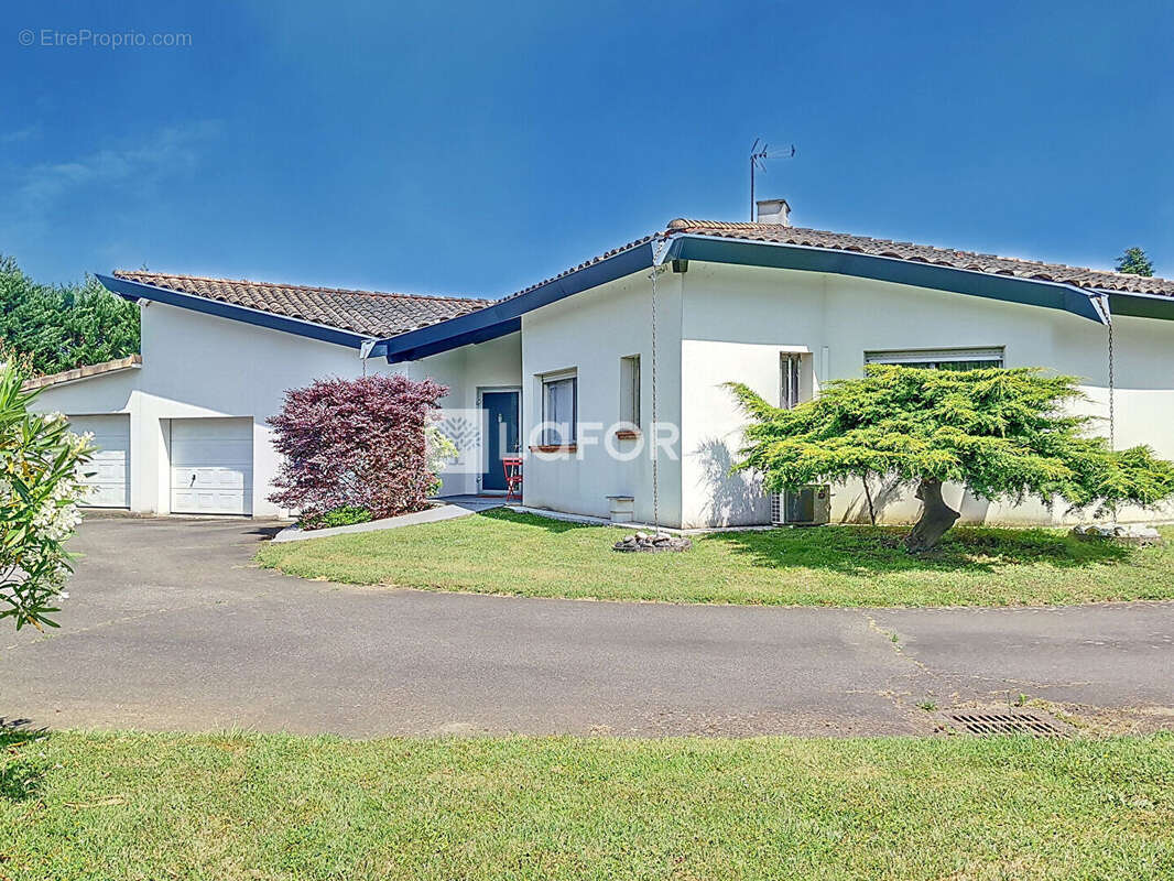 Maison à FENOUILLET