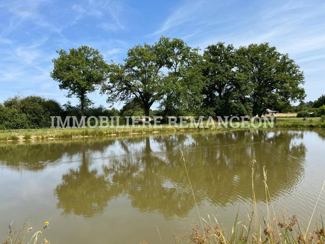 Maison à CHAUMONT-SUR-THARONNE