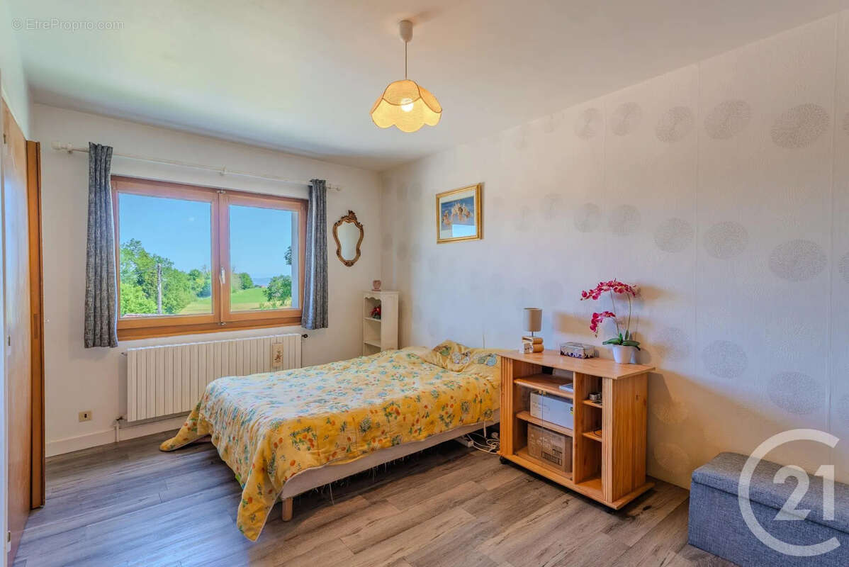 Maison 203 m² à Saint-Paul-En-Chablais  - photo 6