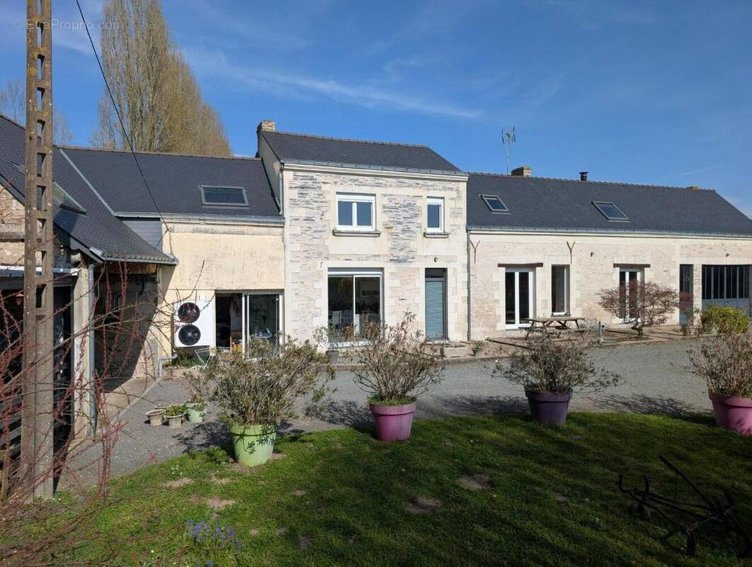 Photo 1 - Maison à PELLOUAILLES-LES-VIGNES