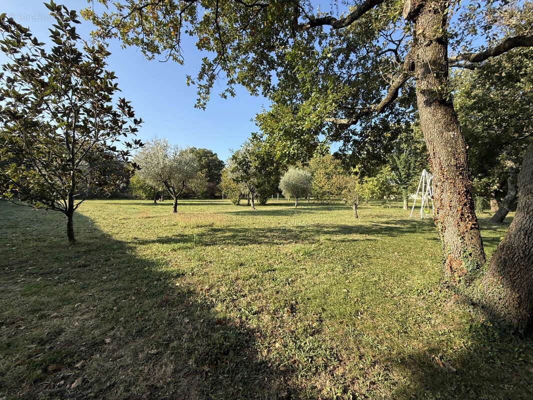 Maison à CHATEAUNEUF-DU-RHONE