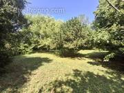 Terrain à SAINT-CHRISTOLY-DE-BLAYE