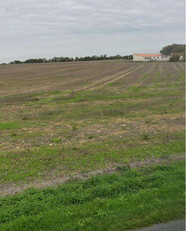 Terrain à VILLEDOUX