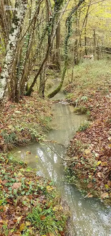 Exceptionnel !!! Ensemble immobilier sur 93 HA de terres avec ruisseau , sources ... - photo 13