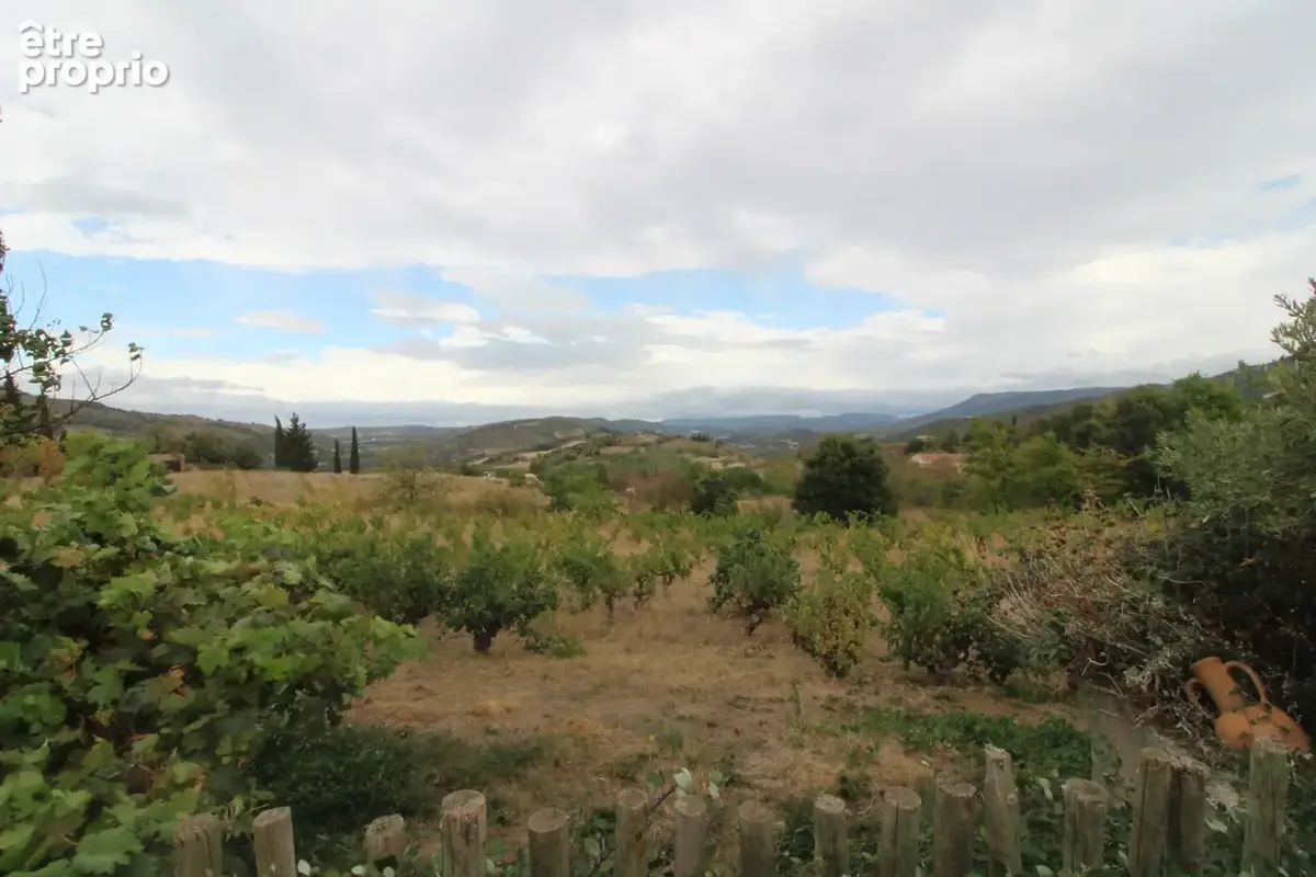 3 km de Limoux - Propriété avec appartement, dépendances et vigne - photo 26