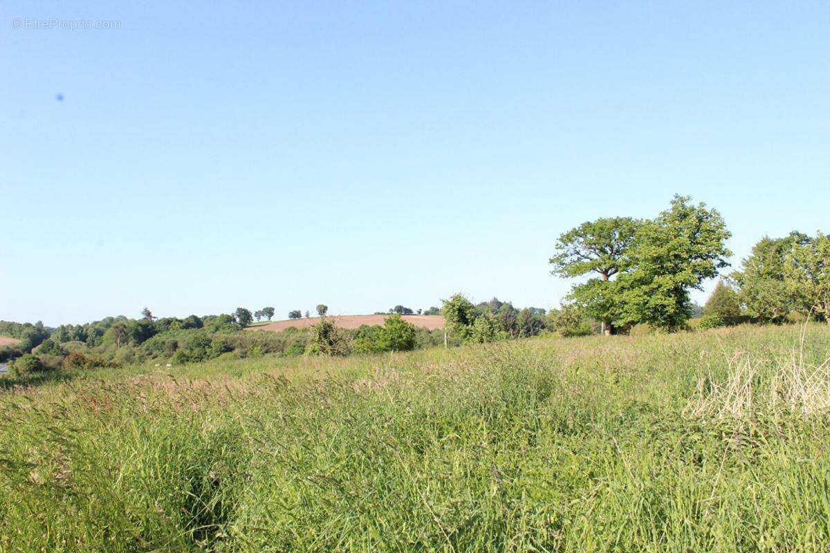 Maison à SAINT-BRANDAN