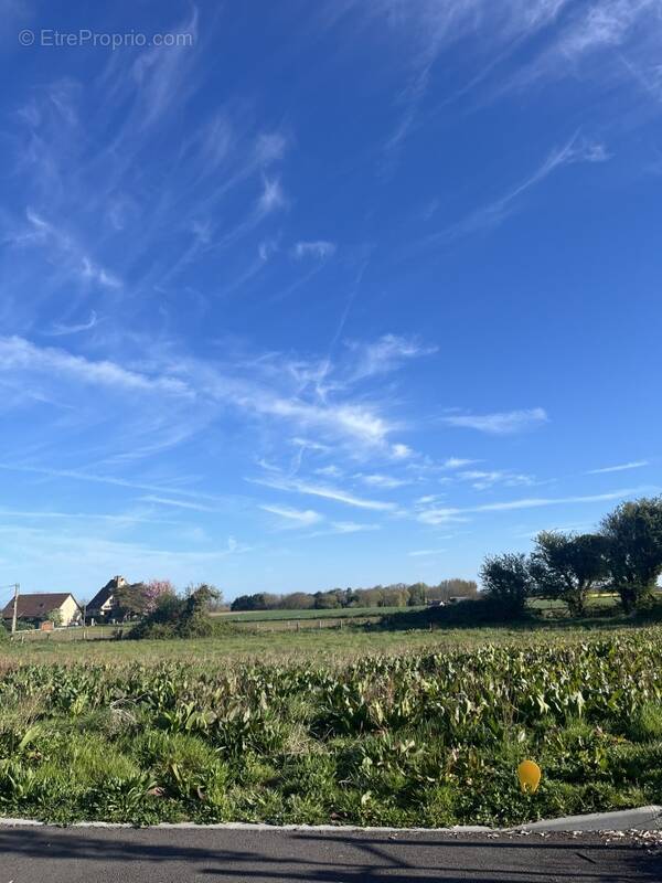 Terrain à SAINT-JOUIN-BRUNEVAL