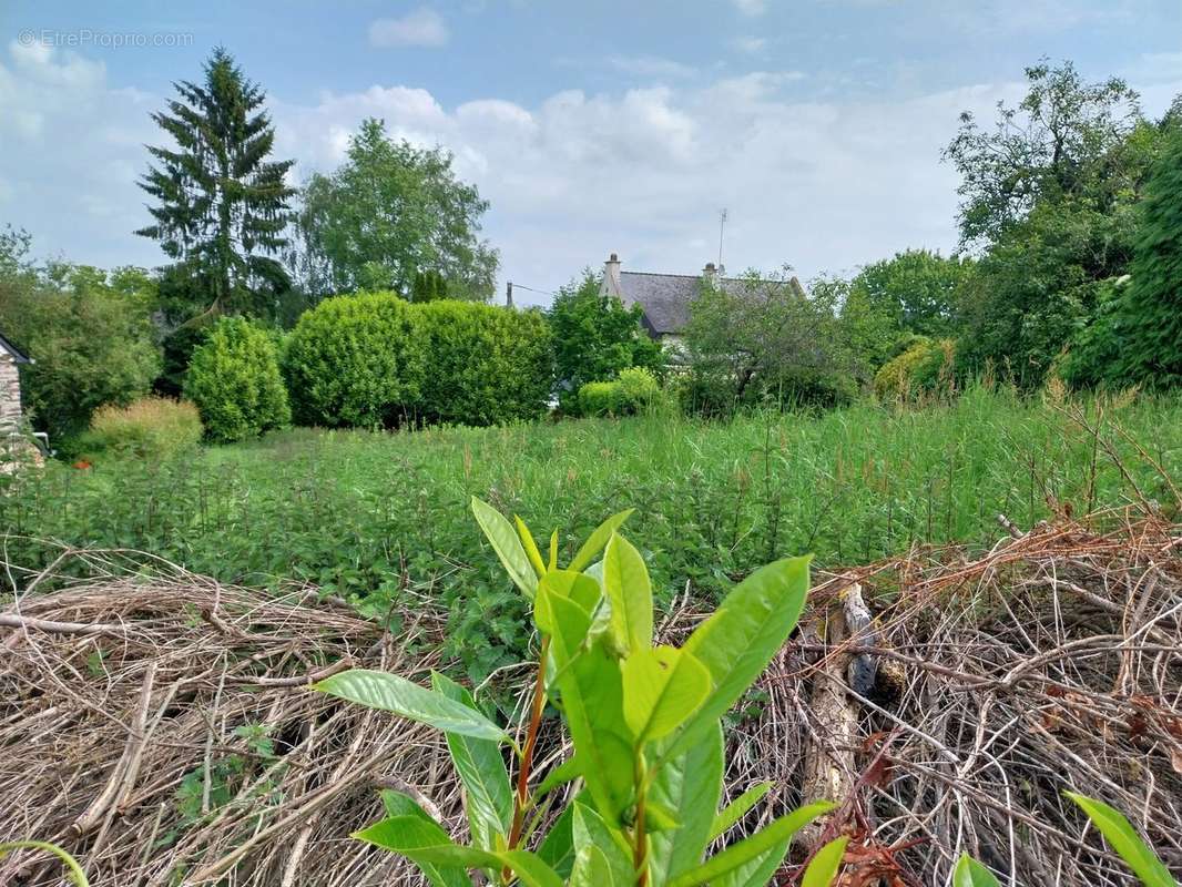 Terrain à SAINT-CARADEC