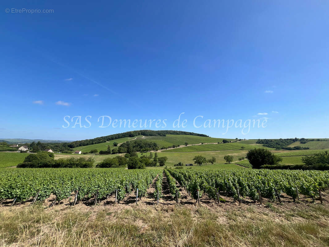 Maison à SANCERRE