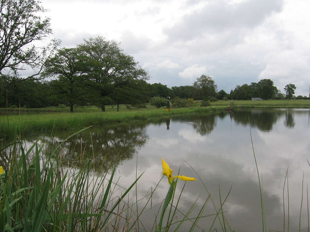 Terrain à MILLAC