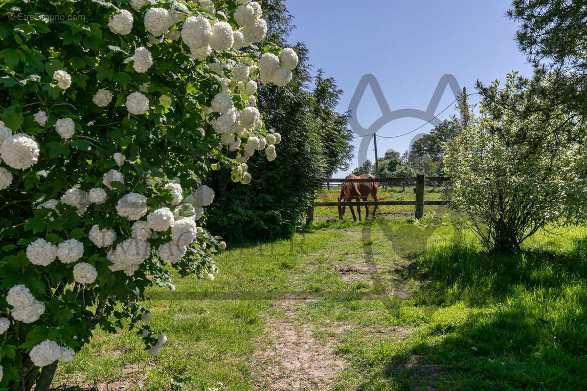 Maison à CHATEAU-THIERRY